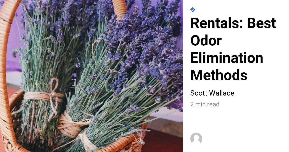 Rentals Best Odor Elimination Methods Scott Properties of Charleston